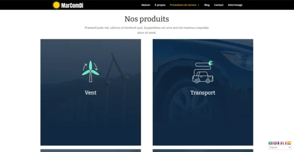 Image du produit